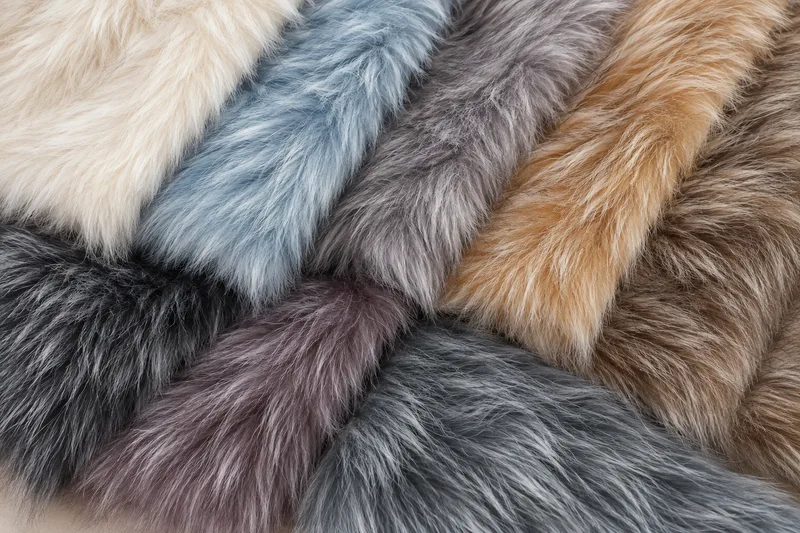 Tri-colour Toka